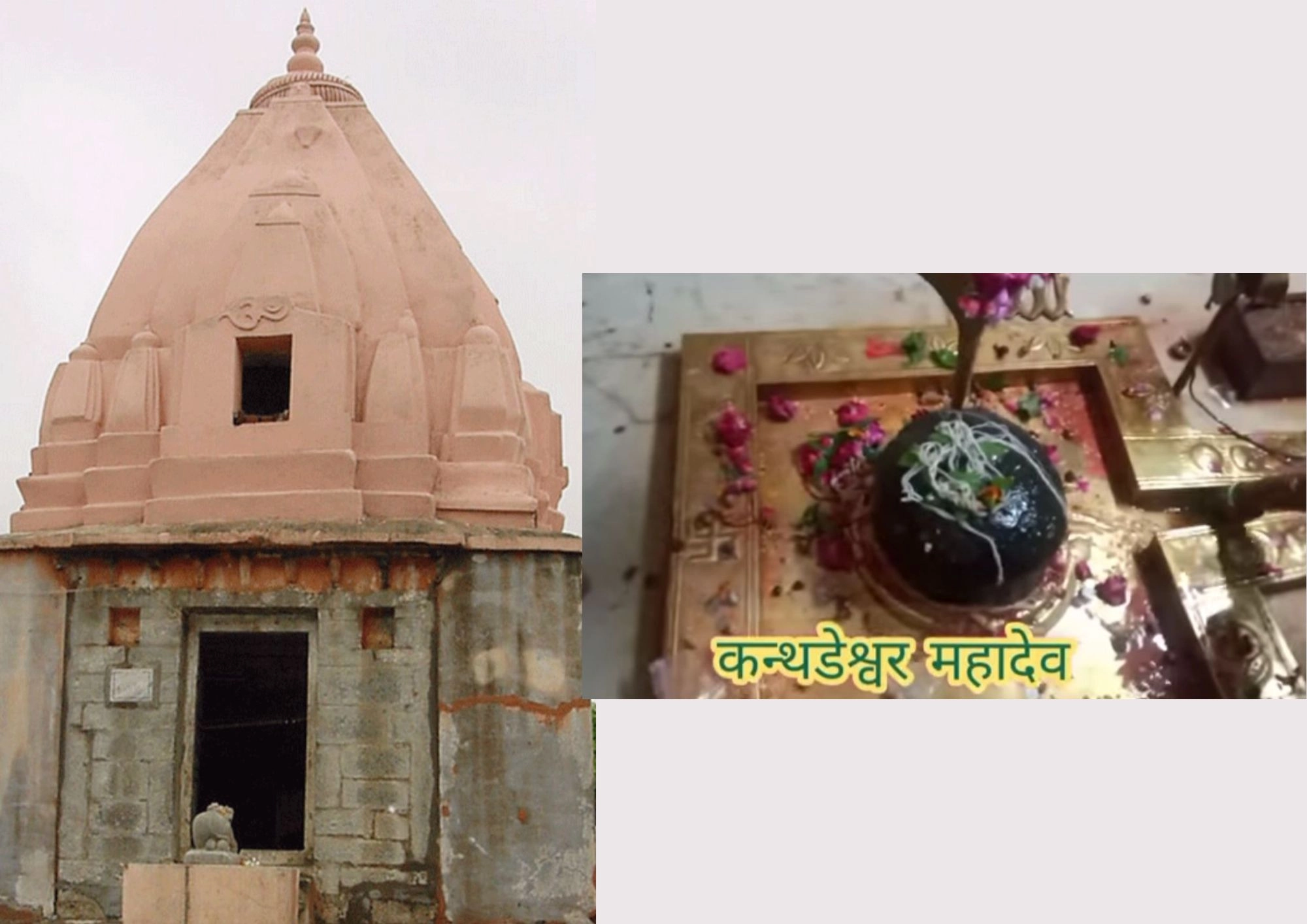 janmat