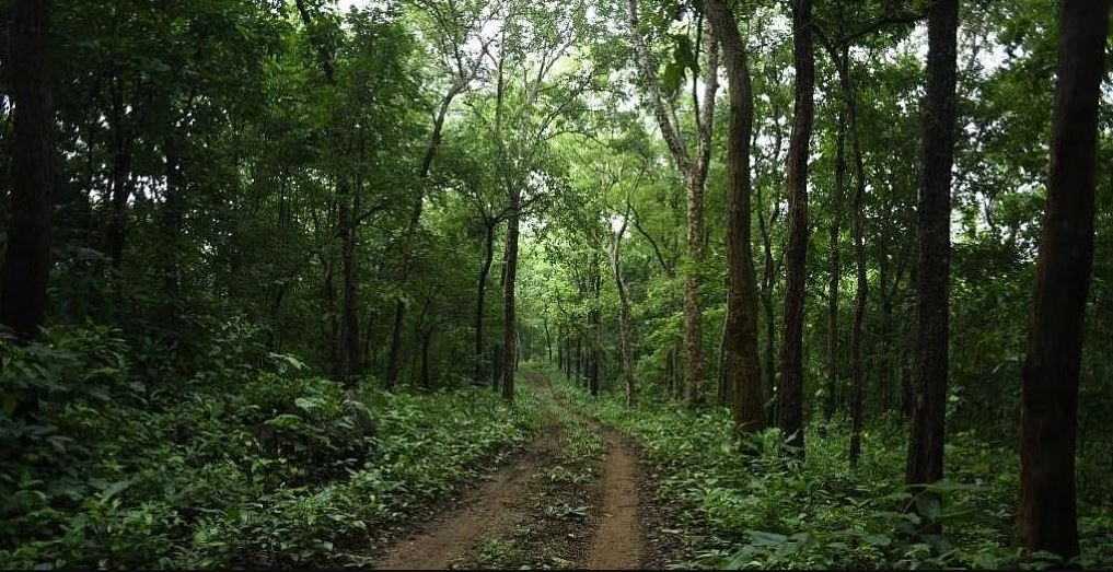 16 साल पुराने आदेश पर अमल नहीं, दोषी बताए गए कर्मचारियों को मिली मनचाही पोस्टिंग