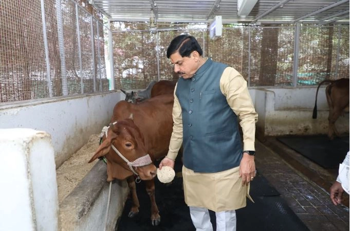 सीएम यादव ने बर्थ-डे पर गौमाता को दुलारा, पीएम मोदी-भाजपा अध्यक्ष ने दी बधाई