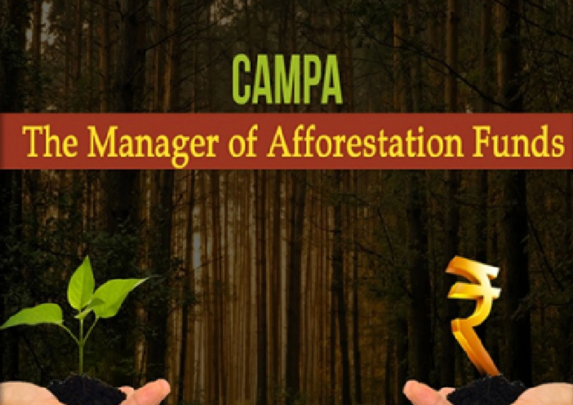 क्षति पूर्ति वनीकरण कैम्पा योजना में गड़बड़झाला, बिना कार्य कराए कर दिया फर्जी भुगतान